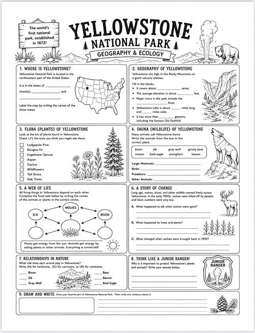 Yellowstone National Park infographic Yellowstone National Park infographic focusing on geography, ecology, flora, fauna, geology, and visitor insights for homeschool resources.