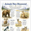 Animals They Discovered Illustrated poster featuring Lewis and Clark era wildlife including Grizzly Bear, Prairie Dog, Bighorn Sheep, Pronghorn, Magpie, Coyote and other animals with descriptive labels and a scenic backdrop.