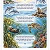 Screenshot Illustration of ocean life with whales, dolphins, turtles, otters, and sea creatures under the title 'Across the Endless Blue' for homeschool educational content.