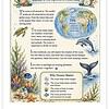 Screenshot Introduction to ocean study for homeschool, featuring ocean life, coral reefs, and the importance of oceans for Earth's ecosystem.