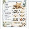 Screenshot Salt Dough Starfish Craft kit with materials and step-by-step instructions for kids to create starfish art.