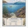 Screenshot Educational poster titled 'Beneath a Wave' illustrating underwater ocean life with coral reefs, fish, and sea creatures for homeschool learning.