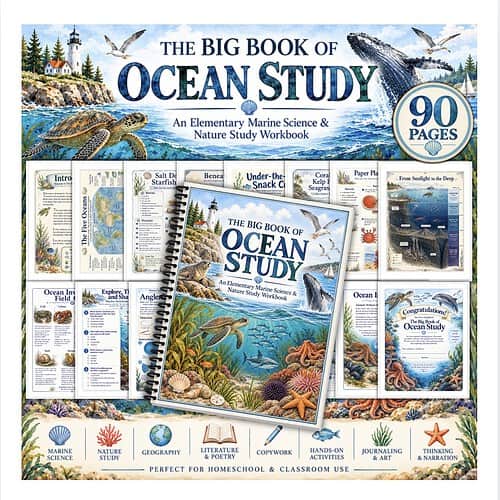 Screenshot The Big Book of Ocean Study workbook for elementary marine science and nature study, featuring ocean animals, coral reefs, and marine environments.