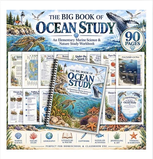 Screenshot The Big Book of Ocean Study workbook for elementary marine science and nature study, featuring ocean animals, coral reefs, and marine environments.