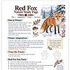 Screenshot Red Fox Nature Study Page: winter scene with fox, pine trees, and berries, detailing diet, adaptations, tracks, and fun facts for homeschool learning.