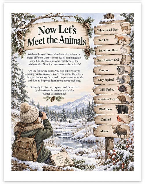 Screenshot Now Let’s Meet the Animals poster featuring a snowy winter scene with a child in a backpack observing wildlife, and a wooden signpost listing animals such as white-tailed deer, red fox, snowshoe hare,.