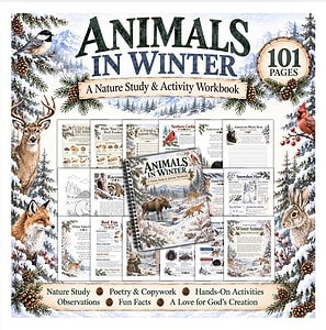 Animals in Winter Nature Study Workbook | Winter Animals Unit Study