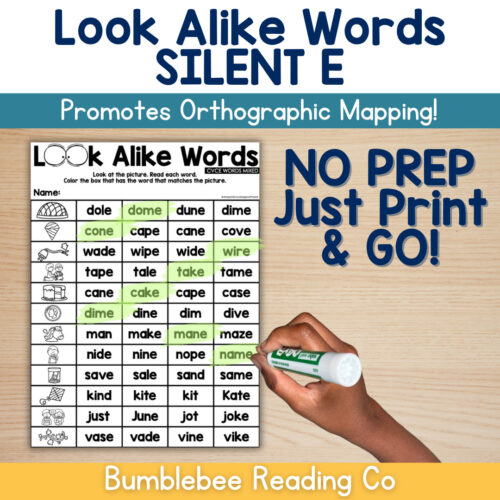 LookAlikeWords_SILENTECover Look Alike Words-NO PREP (Science of Reading) Silent E CVCE Orthographic Mapping