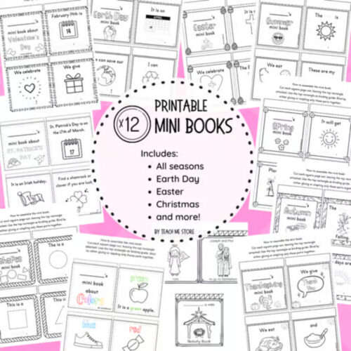 Mini books TPT mini books