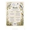 Birds Nature Journal and Observation Guide Educational birdwatching guide featuring illustrations of various bird species, including a chickadee, bluebird, and goldfinch, with sections on birdwatching and nature journaling.