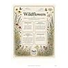 Wildflowers Educational Poster for Homeschooling Educational poster featuring wildflowers with activities, journal, and library basket for homeschool learning about nature and wildflowers.