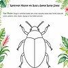 Rainforest Mission 9 beetle shield Beetle illustration for RainForest Mission #9: Build a Beetle Battle Shield with bold, colorful surrounding foliage and mission text.