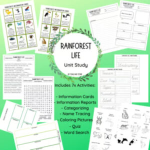 Rainforest Life Unit