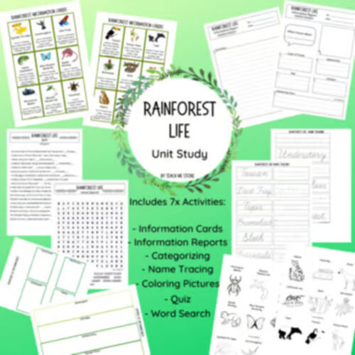 Rainforest unit TPT Rainforest unit
