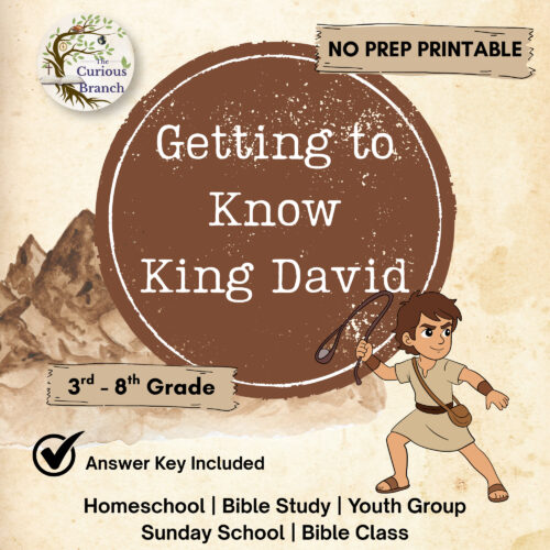 TPT COVER PHOTOS (23) Bible Study for Preteens | Getting to Know King David| No Prep