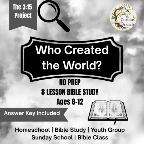 TPT COVER PHOTOS (23) Project 315 Bible Study for PreTeens- No Prep- Who Created the World