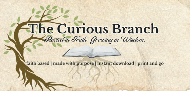 The Curious Branch banner
