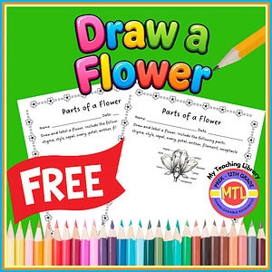 Flower Anatomy Diagram & Draw a Flower Worksheet | Botany & Plant Life Science