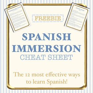 Spanish Immersion Guide | 12 Daily Fluency Ideas | Comprehensible Input/Output