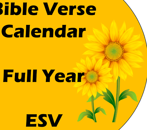 cropped-Full-Year-ESV-Graphic.png Bible Verse Calendar Cards Full Year ESV