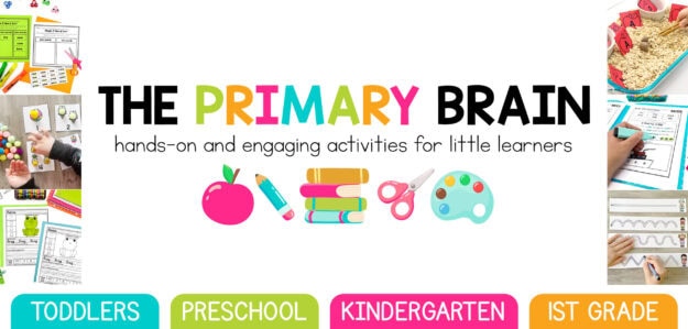 The Primary Brain banner
