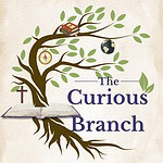 The Curious Branch