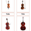 ext 1 1 Collection of four string instruments including violin, viola, cello, and double bass, each with a bow, displayed on a white background.