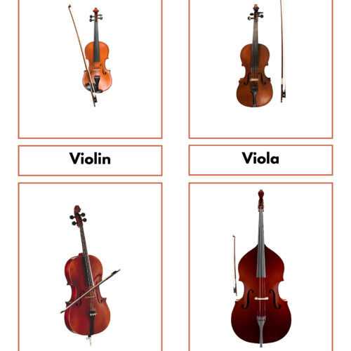 Collection of four string instruments including violin, viola, cello, and double bass, each with a bow, displayed on a white background.