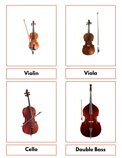 ext 1 1 Collection of four string instruments including violin, viola, cello, and double bass, each with a bow, displayed on a white background.