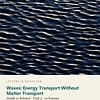 letters-devotion-g11_algebra_based_physics_modeling_matter_motion_and_energy-science-u5.jpg Waves: Energy Transport Without Matter Transport: Science Unit 5, Grade 11 (Letters & Devotion)