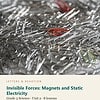 letters-devotion-g3_investigating_our_world_forces_life_and_earth_systems-science-u2.jpg Invisible Forces: Magnets and Static Electricity: Science Unit 2, Grade 3 (Letters & Devotion)