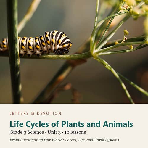 letters-devotion-g3_investigating_our_world_forces_life_and_earth_systems-science-u3.jpg Life Cycles of Plants and Animals: Science Unit 3, Grade 3 (Letters & Devotion)