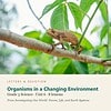 letters-devotion-g3_investigating_our_world_forces_life_and_earth_systems-science-u6.jpg Organisms in a Changing Environment: Science Unit 6, Grade 3 (Letters & Devotion)