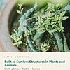 letters-devotion-g4_energy_waves_and_living_systems_grade_4_science-science-u6.jpg Built to Survive: Structures in Plants and Animals: Science Unit 6, Grade 4 (Letters & Devotion)