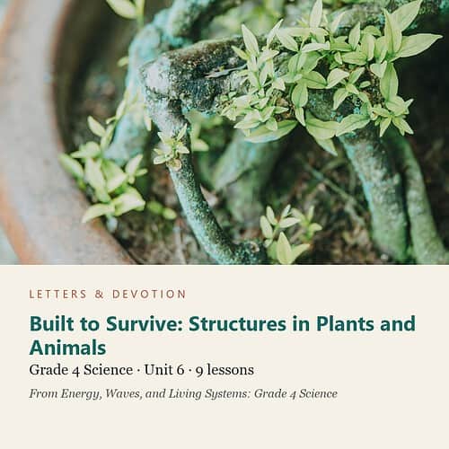 letters-devotion-g4_energy_waves_and_living_systems_grade_4_science-science-u6.jpg Built to Survive: Structures in Plants and Animals: Science Unit 6, Grade 4 (Letters & Devotion)