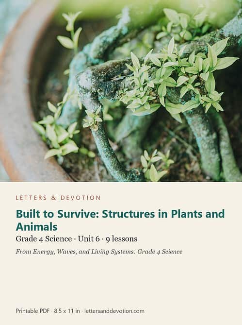 letters-devotion-g4_energy_waves_and_living_systems_grade_4_science-science-u6.jpg Built to Survive: Structures in Plants and Animals: Science Unit 6, Grade 4 (Letters & Devotion)