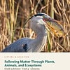 letters-devotion-g5_matter_systems_and_the_sky_grade_5_science-science-u4.jpg Following Matter Through Plants, Animals, and Ecosystems: Science Unit 4, Grade 5 (Letters & Devotion)