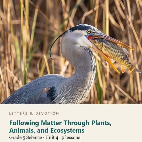 letters-devotion-g5_matter_systems_and_the_sky_grade_5_science-science-u4.jpg Following Matter Through Plants, Animals, and Ecosystems: Science Unit 4, Grade 5 (Letters & Devotion)