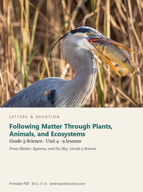 letters-devotion-g5_matter_systems_and_the_sky_grade_5_science-science-u4.jpg Following Matter Through Plants, Animals, and Ecosystems: Science Unit 4, Grade 5 (Letters & Devotion)