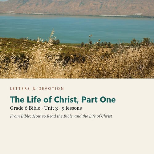 letters-devotion-g6_bible_reading_well-bible-u3.jpg The Life of Christ, Part One: Bible Unit 3, Grade 6 (Letters & Devotion)