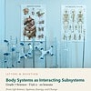 letters-devotion-g7_life_science_systems_energy_and_change-science-u2.jpg Body Systems as Interacting Subsystems: Science Unit 2, Grade 7 (Letters & Devotion)