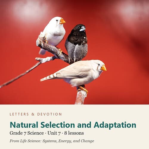 letters-devotion-g7_life_science_systems_energy_and_change-science-u7.jpg Natural Selection and Adaptation: Science Unit 7, Grade 7 (Letters & Devotion)