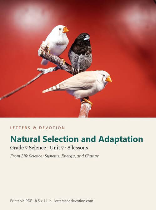 letters-devotion-g7_life_science_systems_energy_and_change-science-u7.jpg Natural Selection and Adaptation: Science Unit 7, Grade 7 (Letters & Devotion)