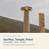 letters-devotion-g8_bible_old_through_new-bible-u2.jpg Sacrifice, Temple, Priest: Bible Unit 2, Grade 8 (Letters & Devotion)