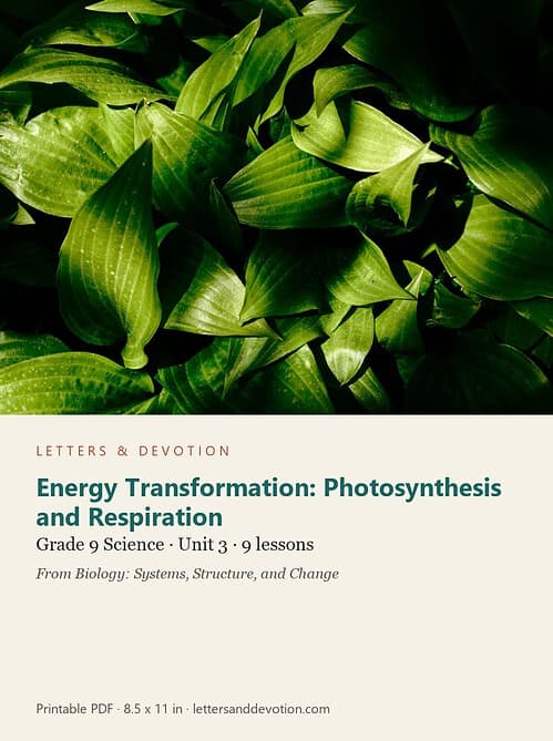 letters-devotion-g9_biology_systems_structure_and_change_1-science-u3.jpg Energy Transformation: Photosynthesis and Respiration: Science Unit 3, Grade 9 (Letters & Devotion)