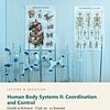 letters-devotion-g9_biology_systems_structure_and_change_2-science-u10.jpg Human Body Systems II: Coordination and Control: Science Unit 10, Grade 9 (Letters & Devotion)