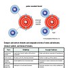 original-11554101-1.jpg Illustration of a polar covalent bond showing shared electrons between two hydrogen atoms and a water molecule.