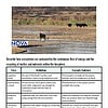 original-11557687-1.jpg Ecosystem Dynamics and Human Physiology: Energy Flow and Organ Systems |Week 16|