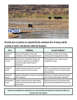 original-11557687-1.jpg Ecosystem Dynamics and Human Physiology: Energy Flow and Organ Systems |Week 16|