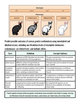 original-11567741-1.jpg Diversity Generation: Meiosis and Genetic Inheritance | Week Lessons |